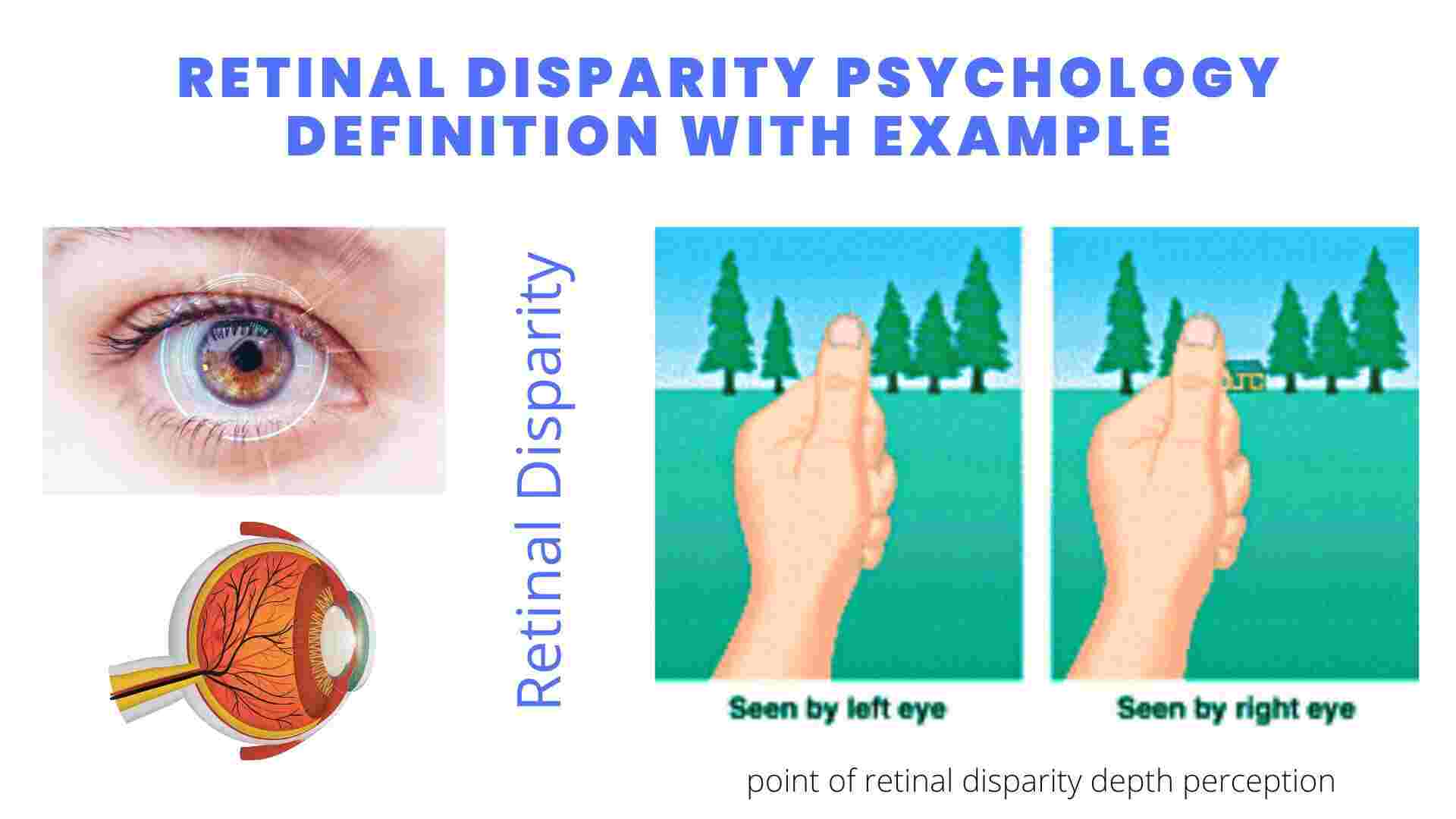 Retinal Disparity Psychology Definition With Example